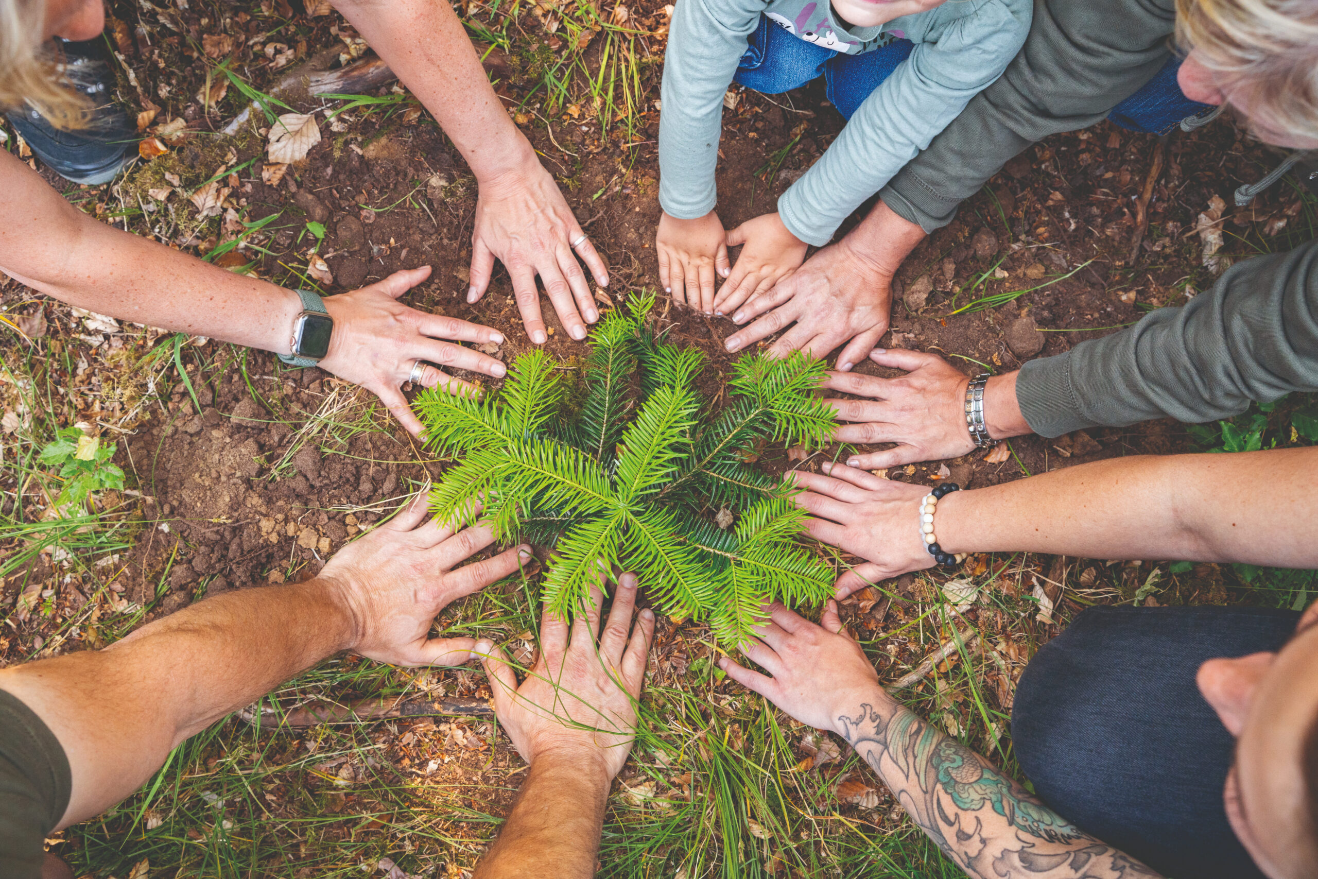 0484a7c4fc0d5bc54b3f59492154c1a0a6e2361f