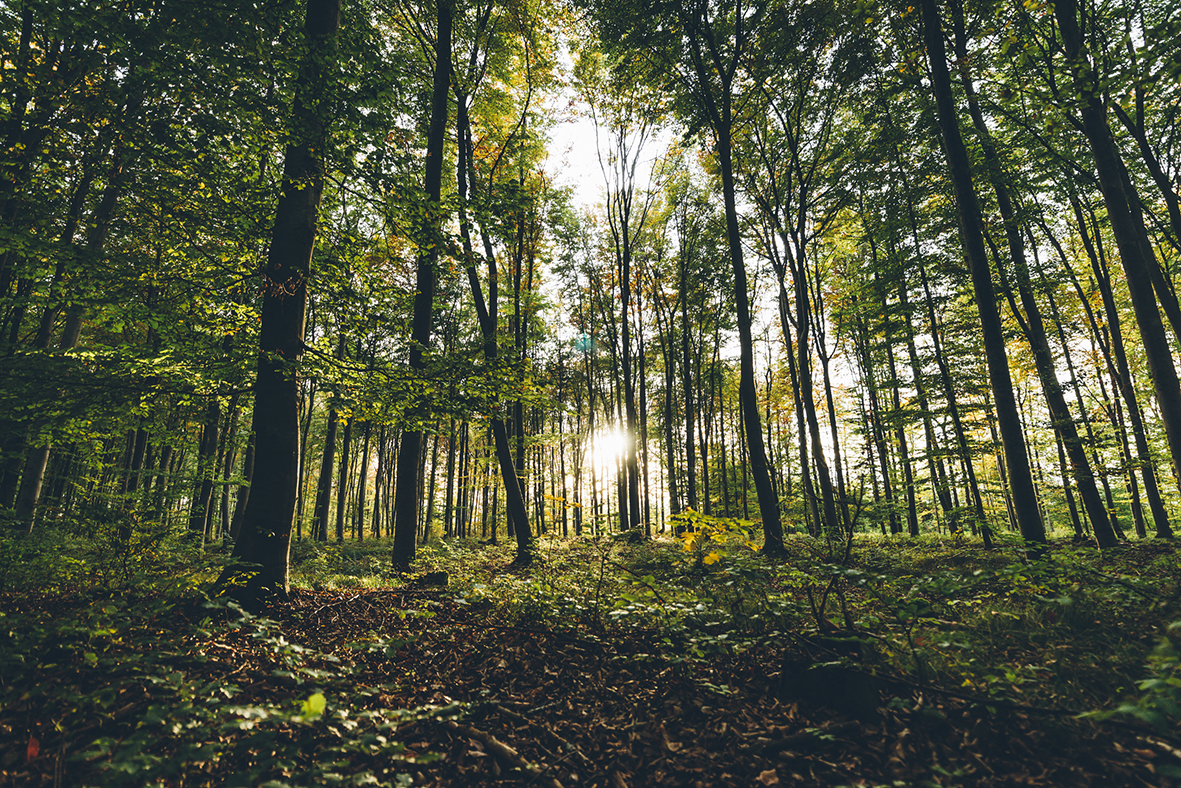 53d796a9e38b461a9db5f9bcfcc9c334d8ab81d5